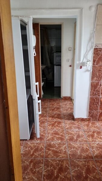 Colentina, Teiul Doamnei