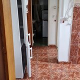 Colentina, Teiul Doamnei